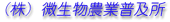name.gif
